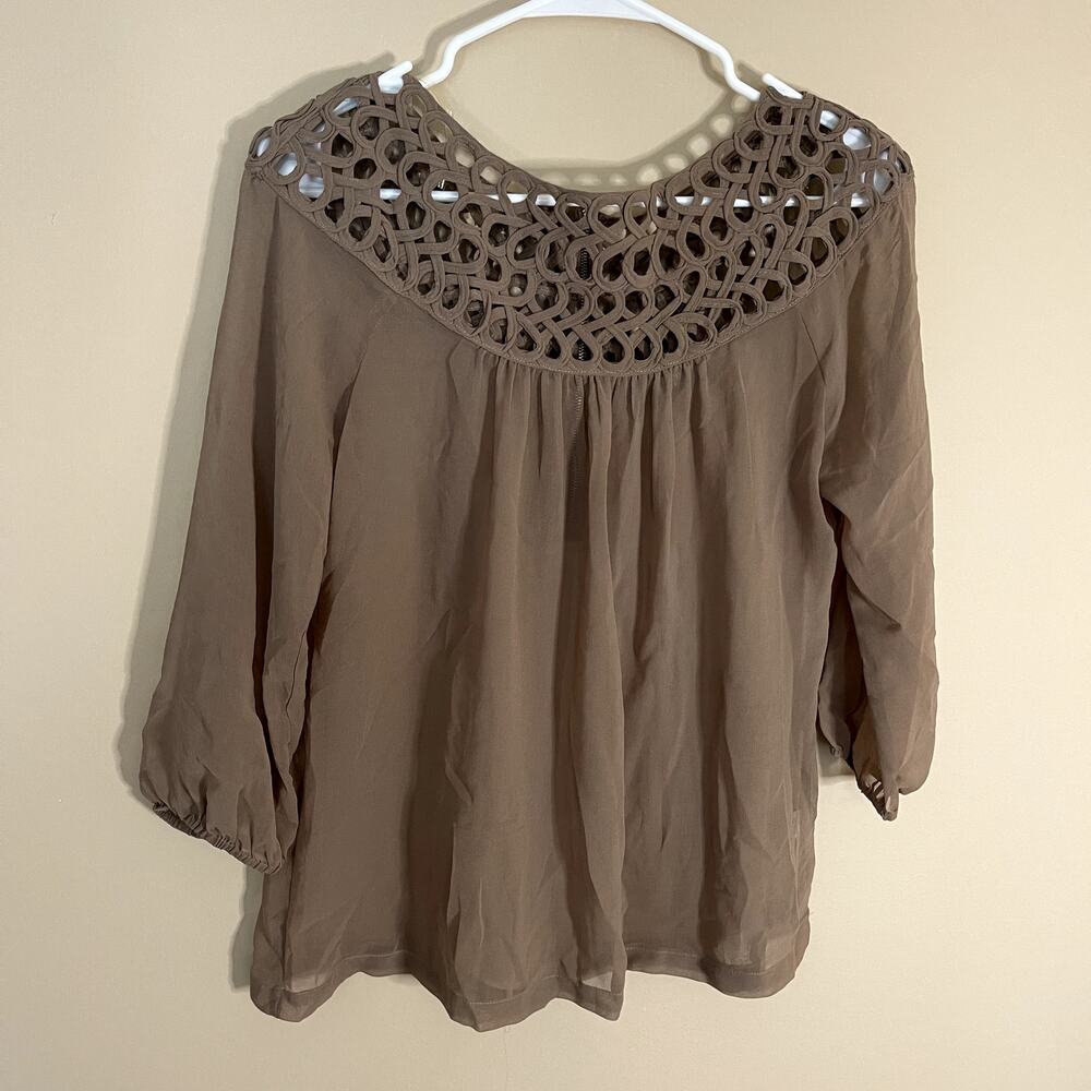 Umgee sheer brown top